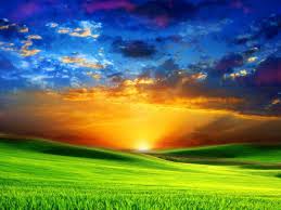 nature